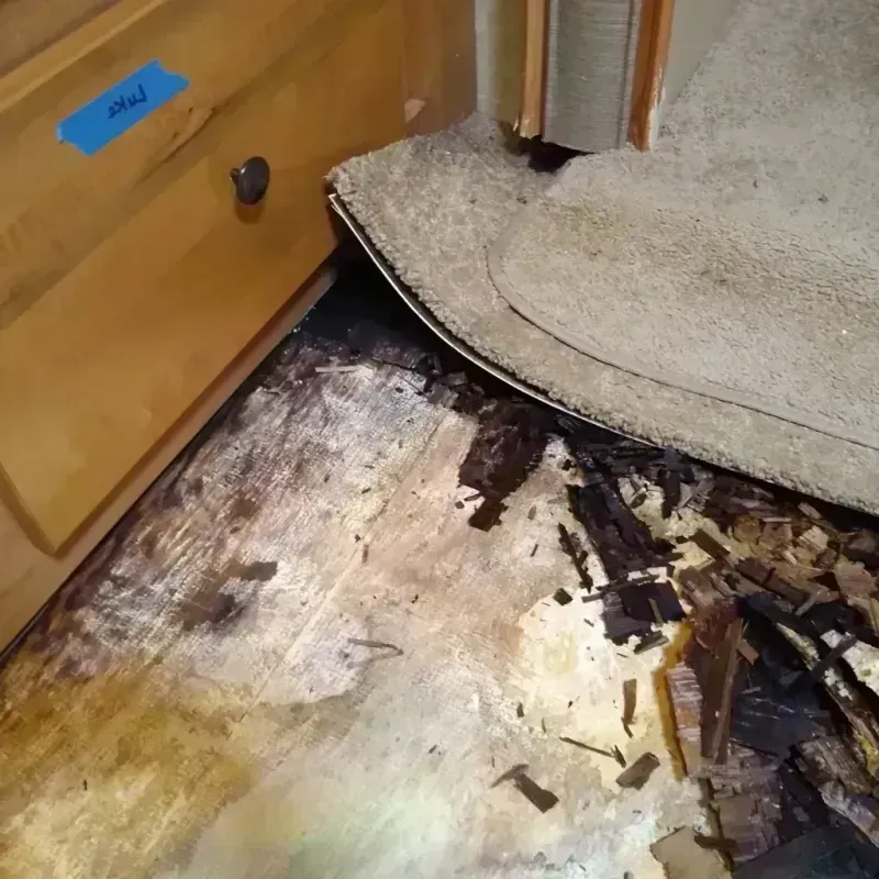 Wood Floor Water Damage in South Lawndale, IL